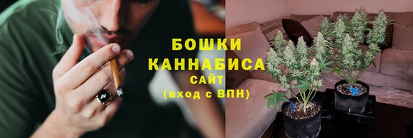 спиды Пестово
