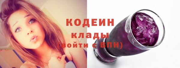 хмурый Ессентукская