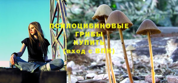 твердый Переславль-Залесский