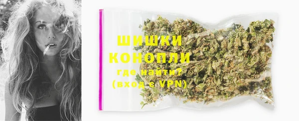спиды Пестово