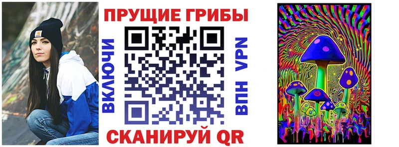 MEGA ONION  Торопец  Галлюциногенные грибы мицелий 